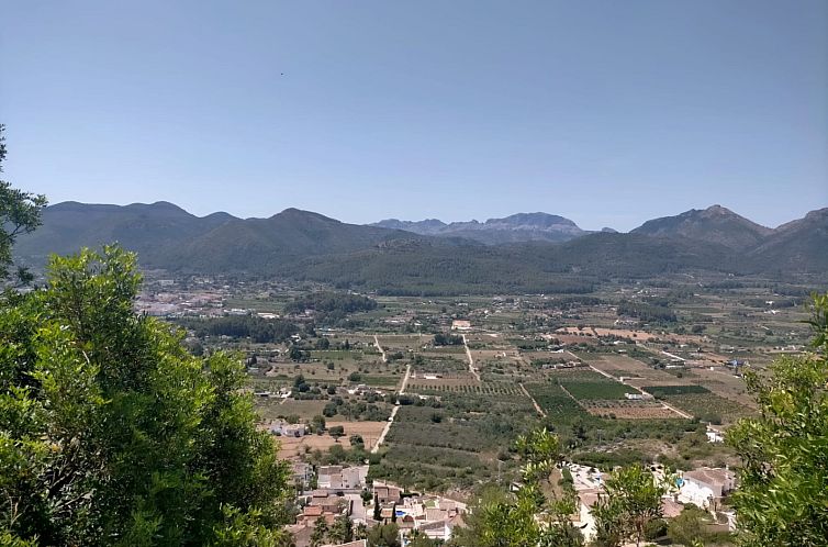 Kavel in Jalón
