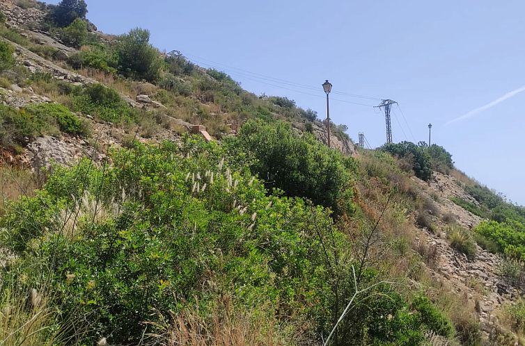 Kavel in Jalón