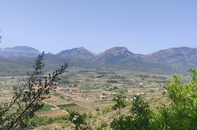 Kavel in Jalón