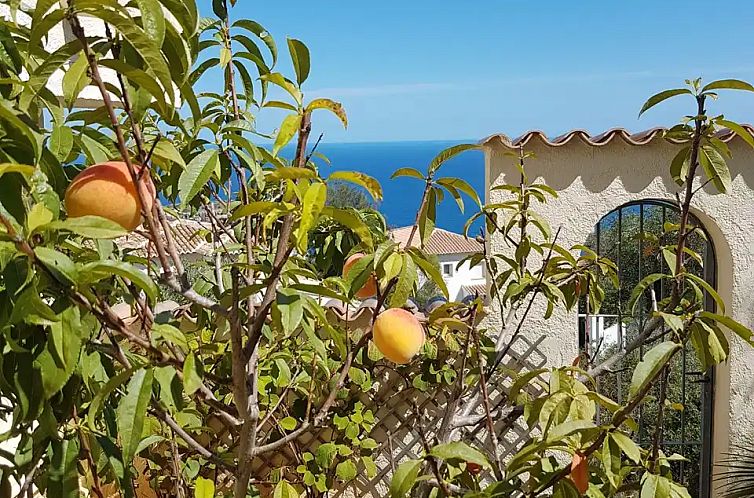 Villa Dalias