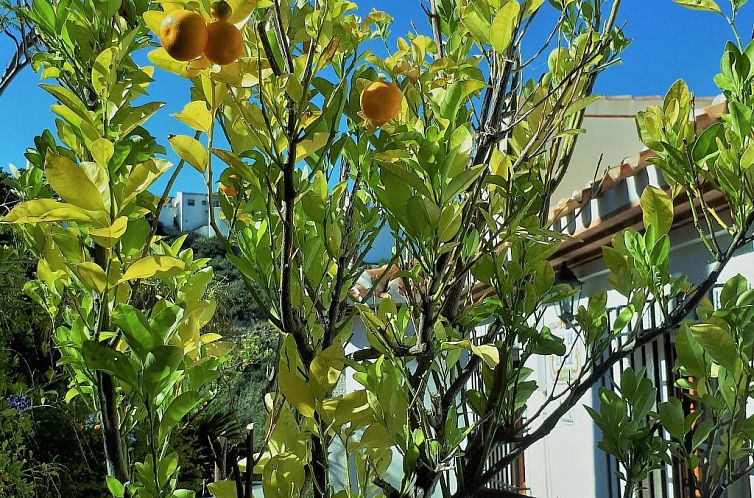 Vakantiehuis Villa de la Luz