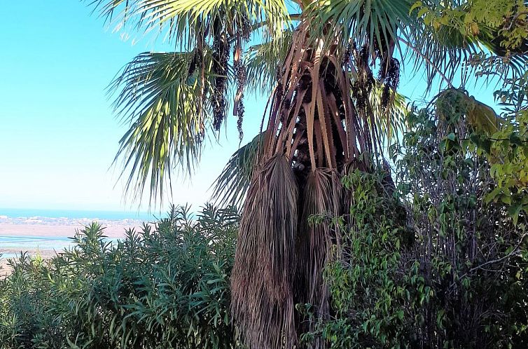 Vakantiehuis Villa de la Luz