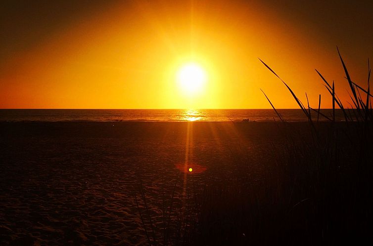 Vakantiehuis Villa Finca CB AP1