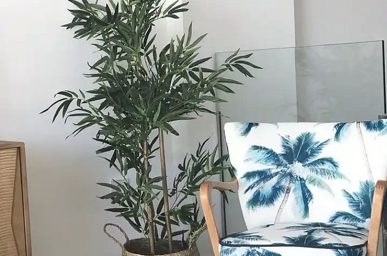 Casabuenavida