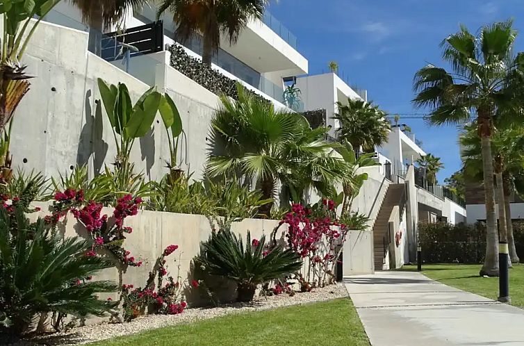 Palmera Bay