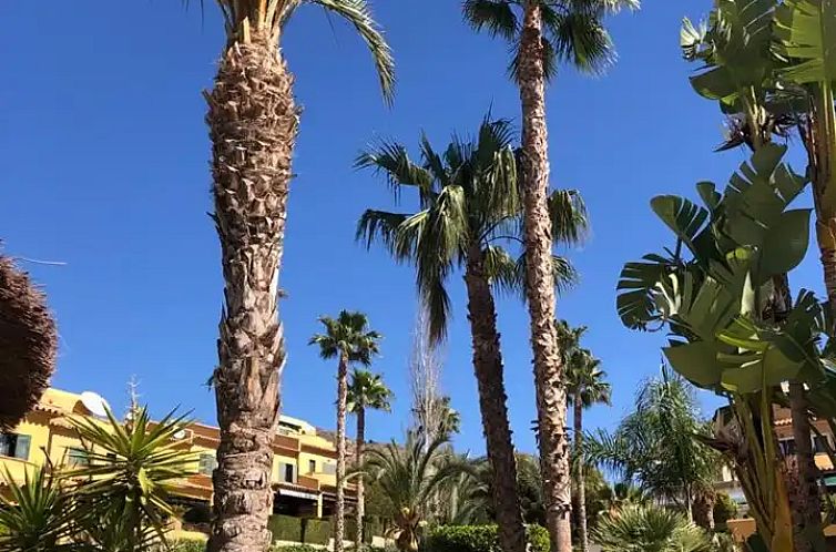 Casa Soleada
