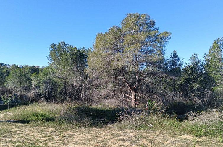 Kavel in Teulada