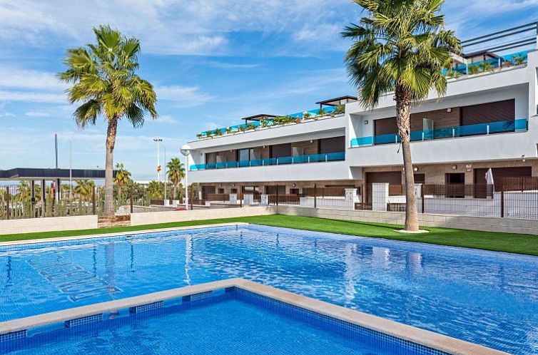Geniessen Sie den Pool und die gruene Umgebung in La Buena Vida, einem Ferienhaus im sonnigen Torrevieja, Costa Blanca, Spanien.