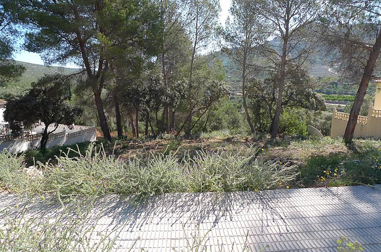 Kavel in Alcalalí