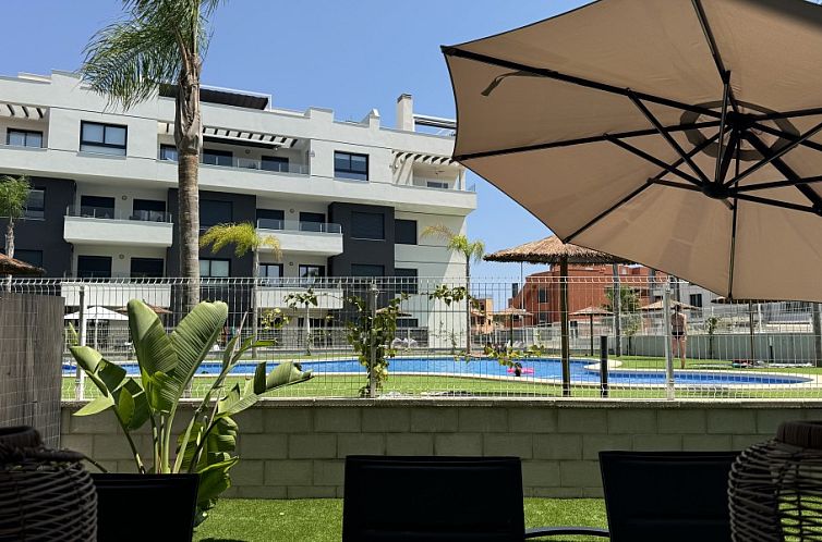 Vamos Valentino golf 33