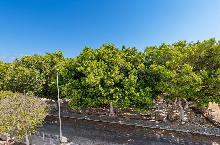 Vrijstaande woning in Orihuela