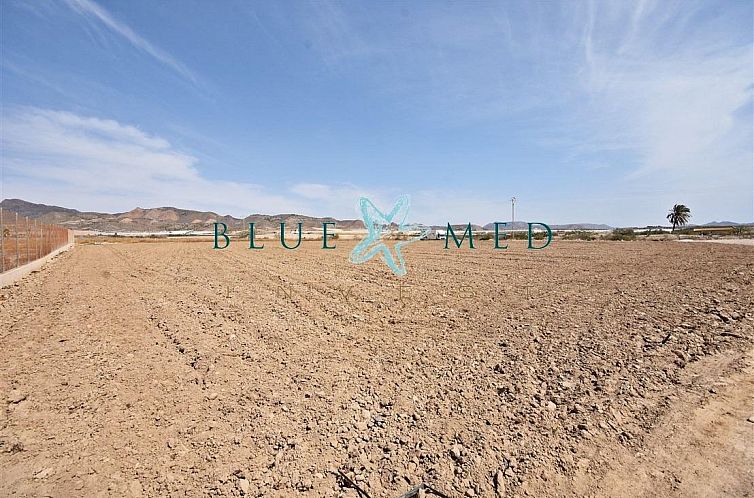 Kavel in Media Legua