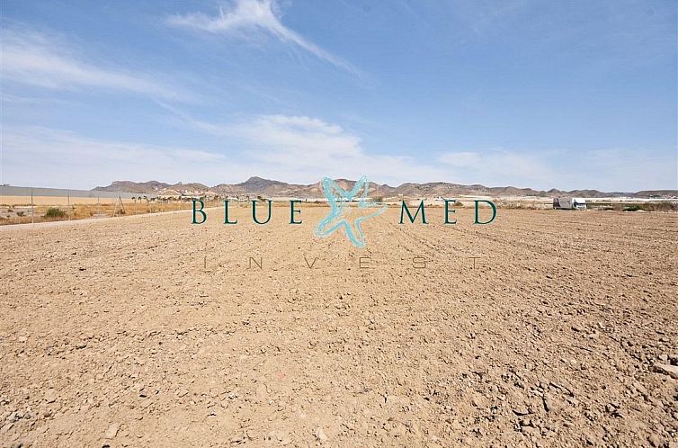 Kavel in Media Legua