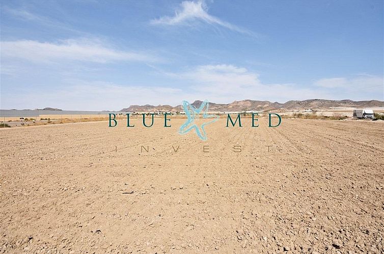 Kavel in Media Legua