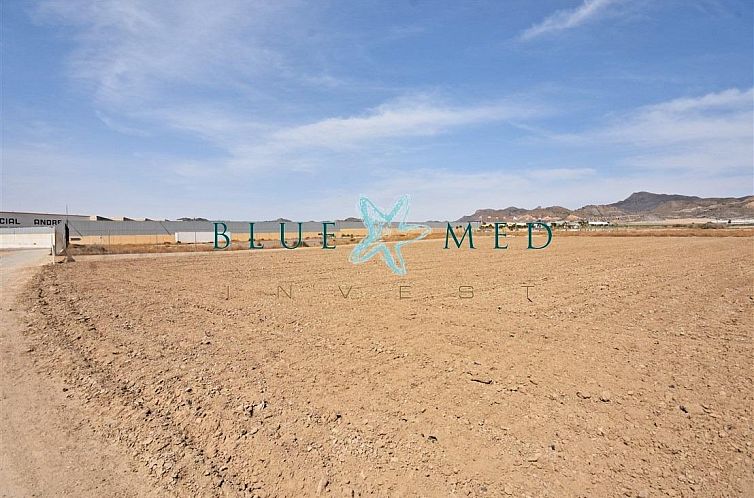 Kavel in Media Legua