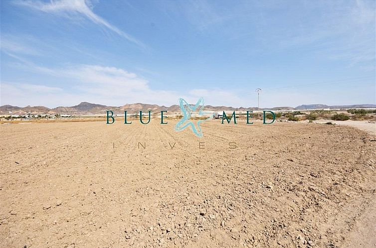 Kavel in Media Legua