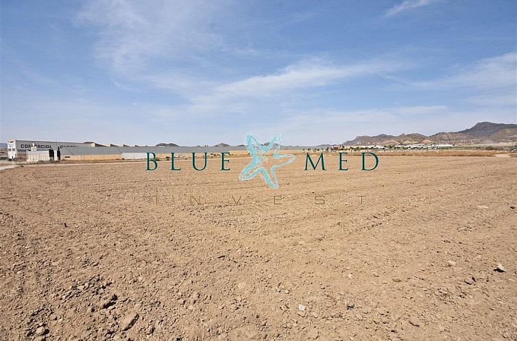 Kavel in Media Legua