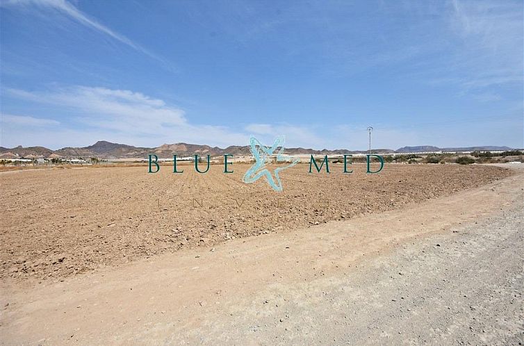 Kavel in Media Legua