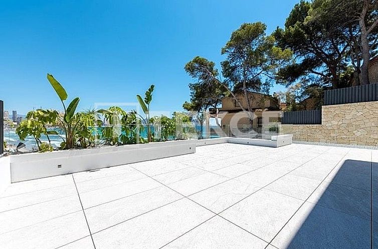 Verblijf 14956108 - Appartement Costa Blanca - Appartement in Benidorm