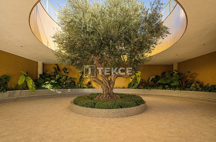 Appartement in Benidorm