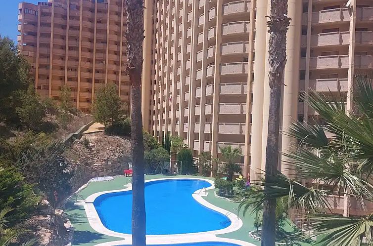 Unterkunft 14956267 - Appartement Costa blanca - Casa Viena