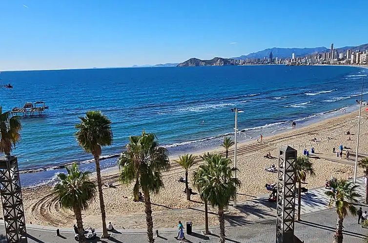 Unterkunft 14956277 - Appartement Costa blanca - Benidorm Sea Breeze