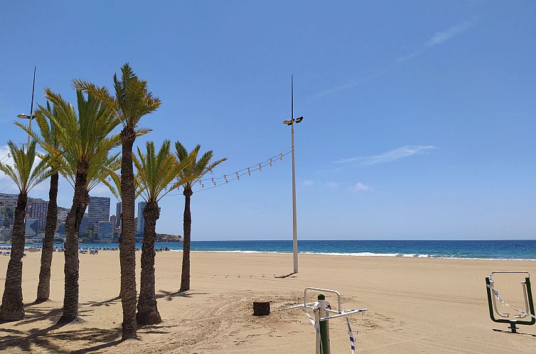 Appartement Las Palmeras