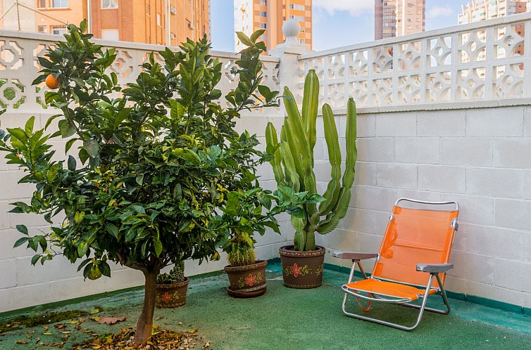 Appartement Rinconada Real