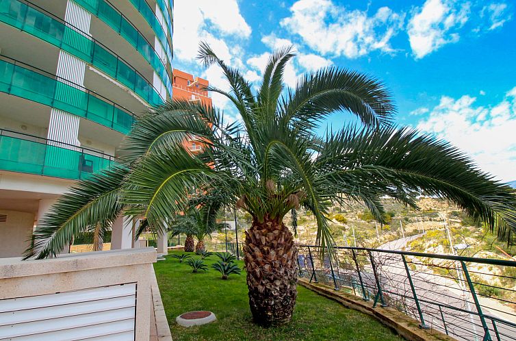 Appartement Vila Park
