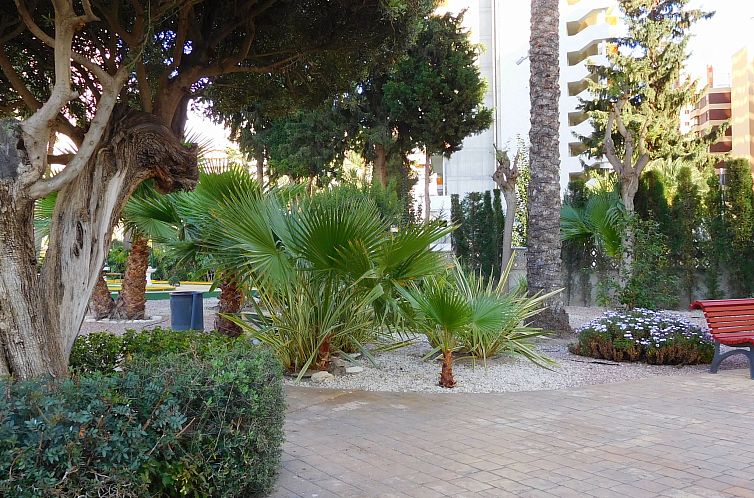Appartement Gemelos