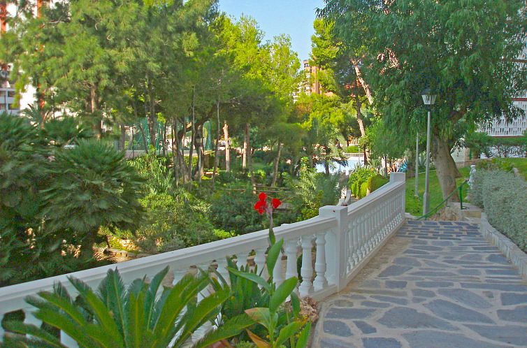 Appartement  Park Playa Levante