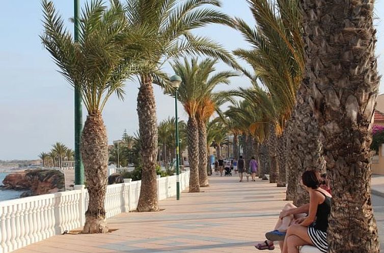 Appartement in Pilar De La Horadada