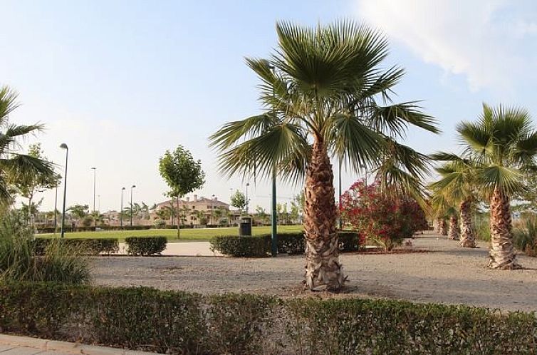 Appartement in Pilar De La Horadada