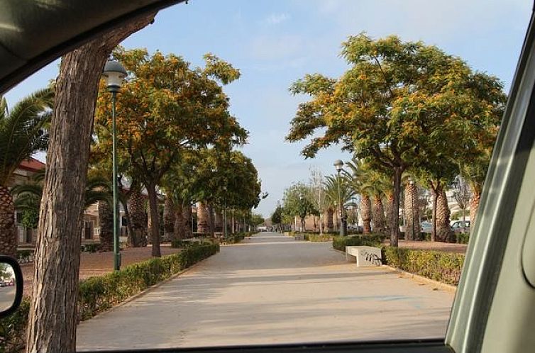 Appartement in Pilar De La Horadada