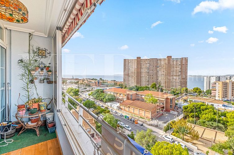 Guest house 1496480 - Apartment Costa Blanca - Appartement in Alicante