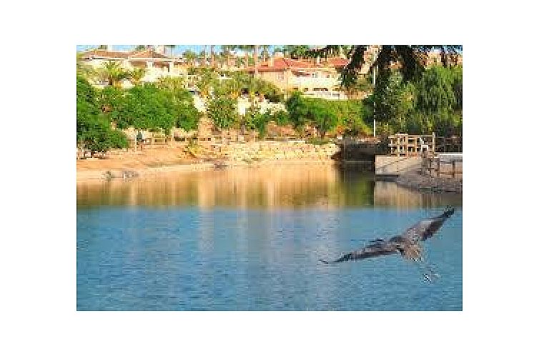 Appartement in Benijofar