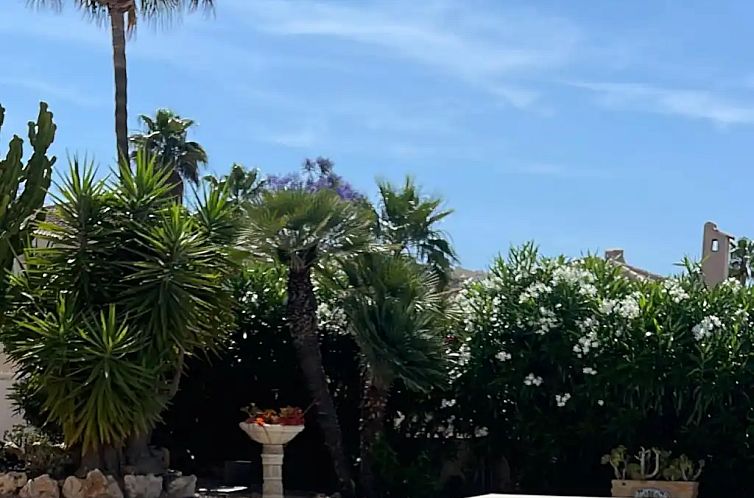 Unterkunft 14985706 - Ferienhaus Costa blanca - Casa Belle
