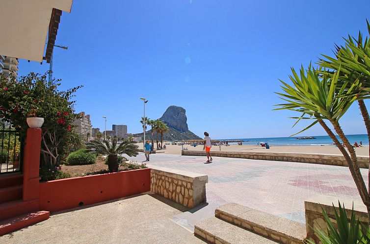 Appartement Oceanic