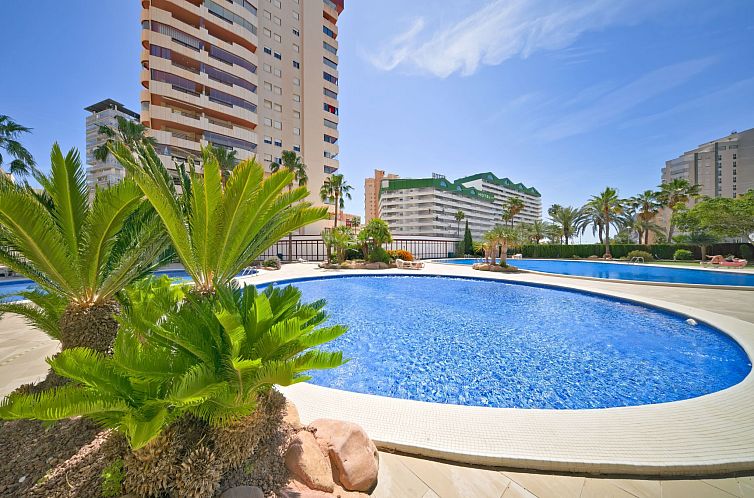 Appartement Coral Beach 02