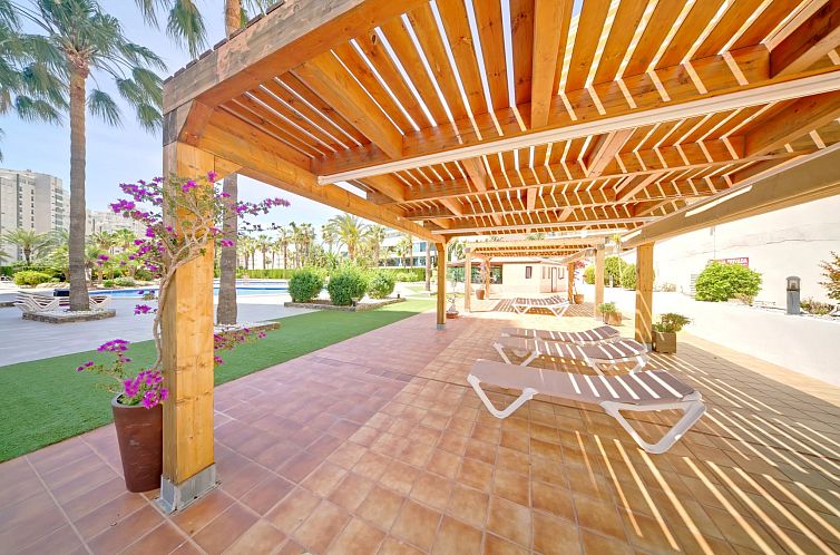 Appartement Coral Beach