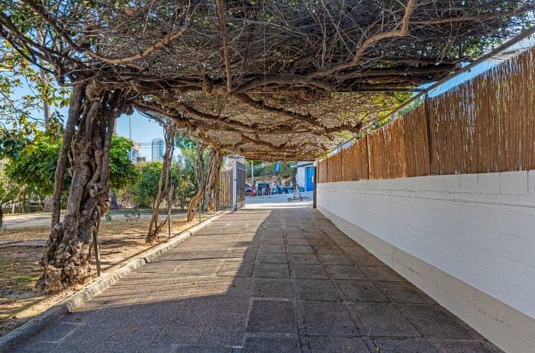 Vakantiehuis Villa Tropical - Plusholidays