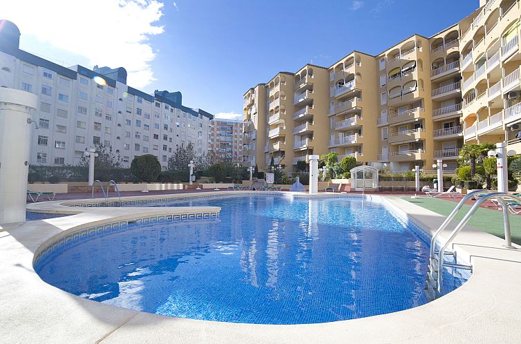 Guest house 14990173 - Apartment Costa Blanca - Appartement Apolo VII