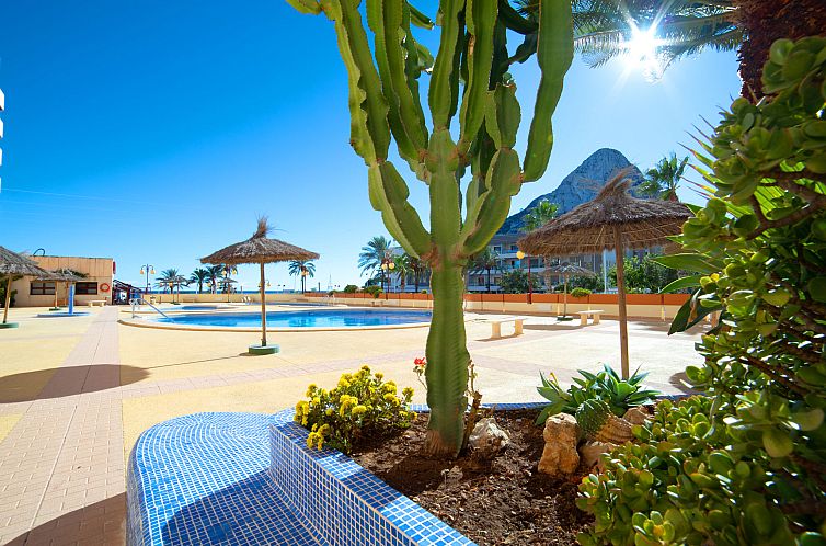 Appartement Zafiro 02