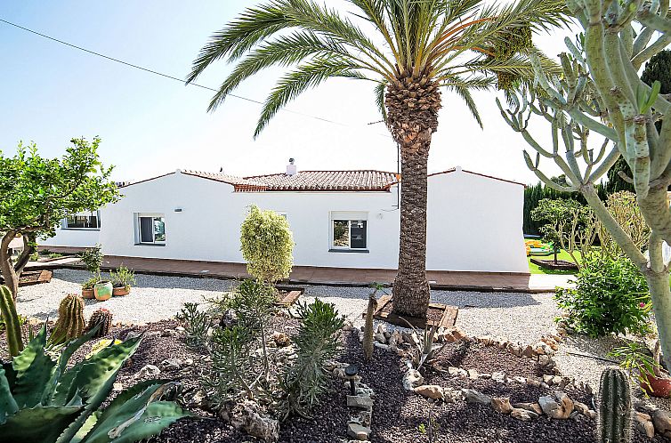 Vakantiehuis Trebol