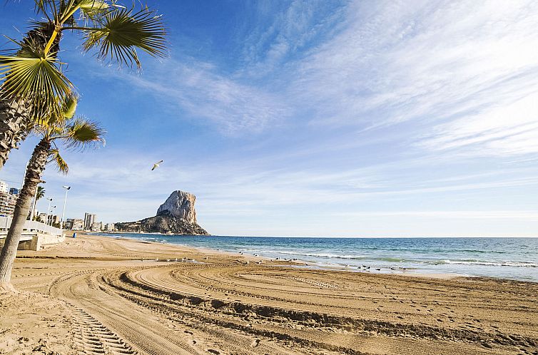 Appartement Arenal 03