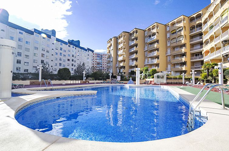 Unterkunft 14990255 - Appartement Costa blanca - Appartement Apolo VII