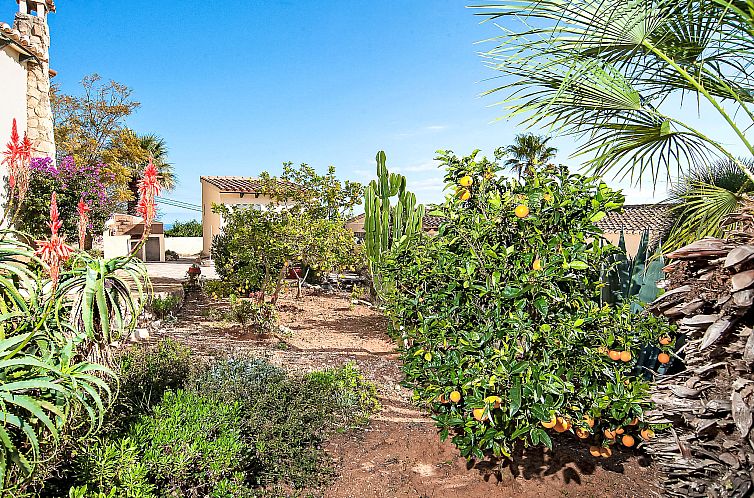 Vakantiehuis La Caissa