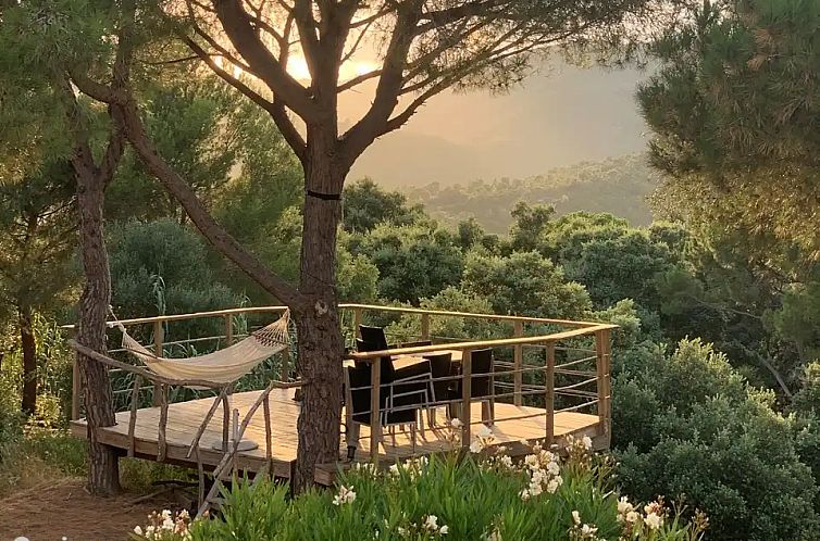 TreeHouse Villa