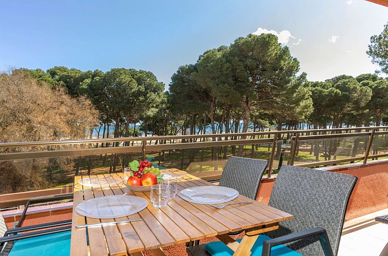 Appartement Salines XVII