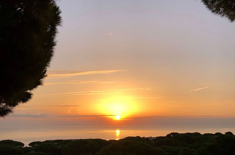 Appartement "Melis II M6-Playa de Pals"